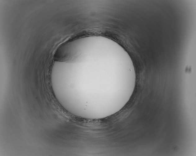 X0000111021201200906191222