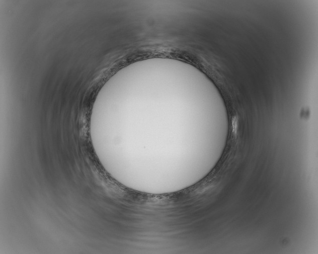 X0000111021203200906191222
