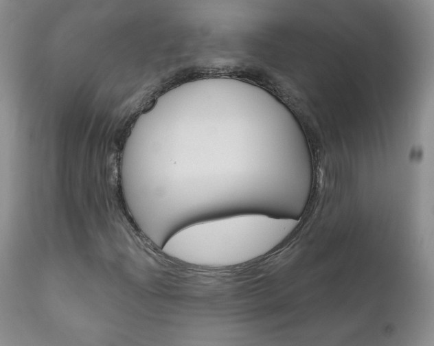 X0000111021204200906191222