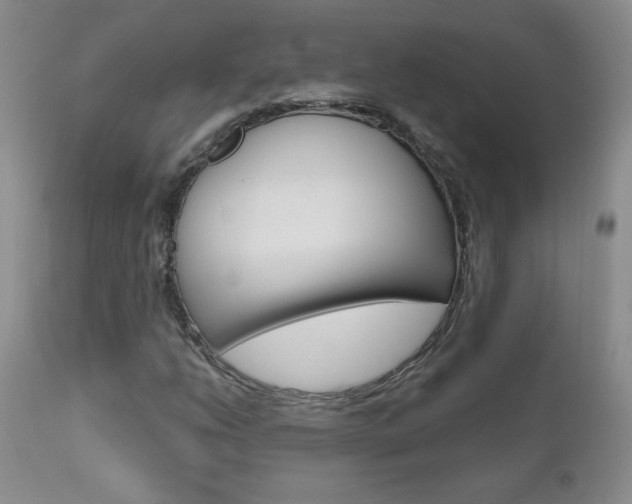 X0000111021206200906191222