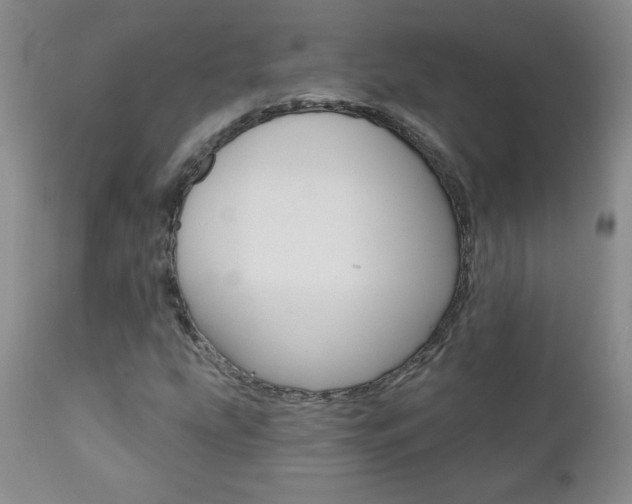 X0000111021207200906191222