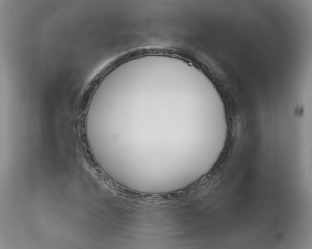 X0000111021208200906191222