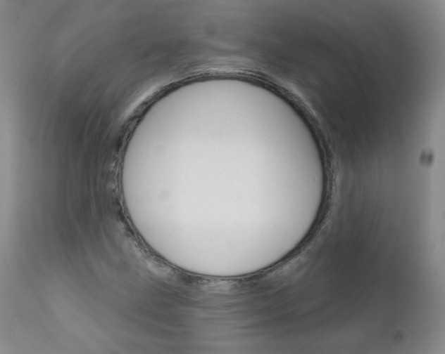 X0000111021211200906191222