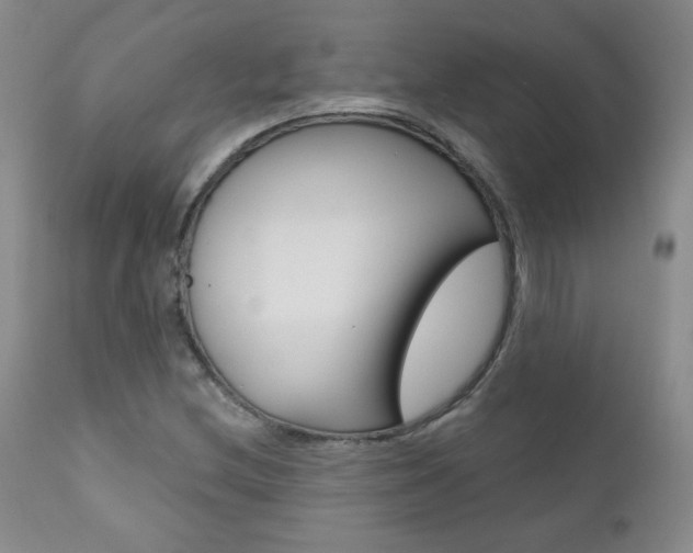 X0000111021212200906191222