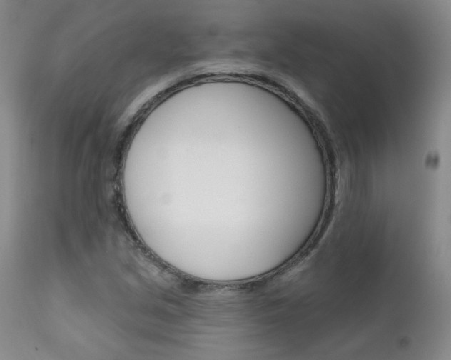 X0000111021213200906191222