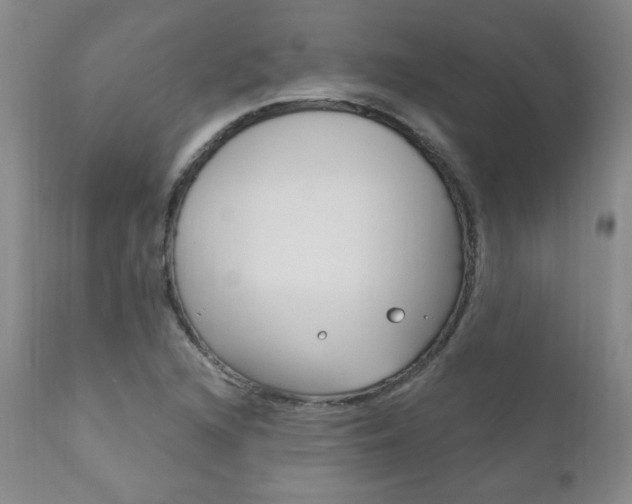 X0000111021216200906191222