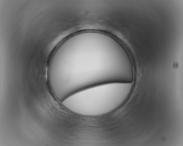 X0000111021221200906191222