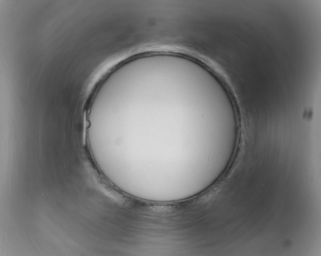 X0000111021223200906191222