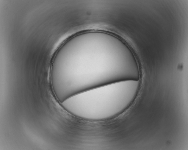 X0000111021224200906191222