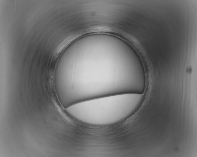 X0000111021225200906191222