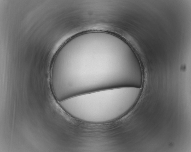 X0000111021232200906191222