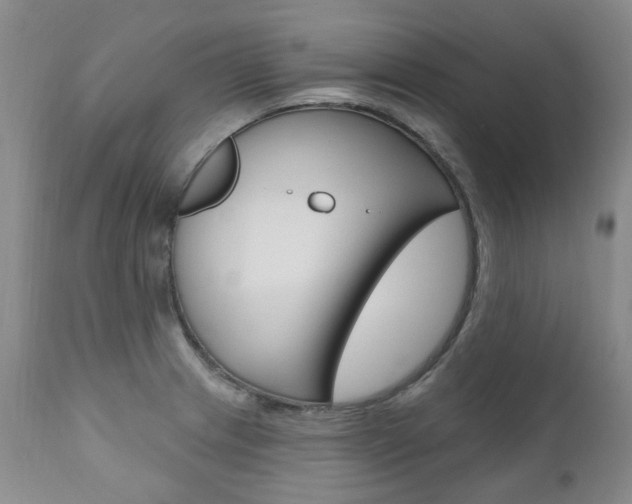 X0000111021233200906191222