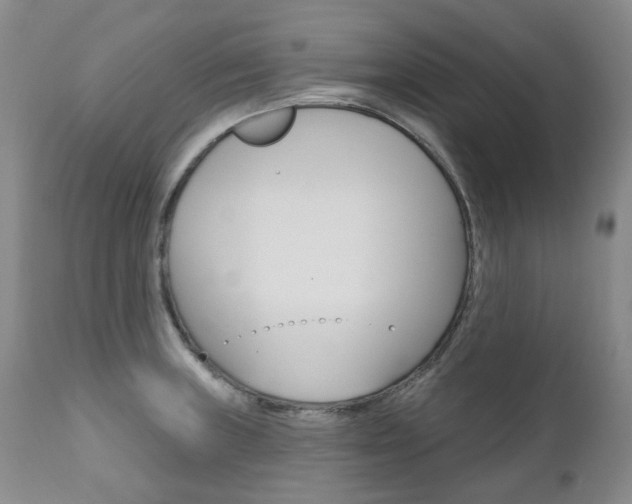 X0000111021235200906191222