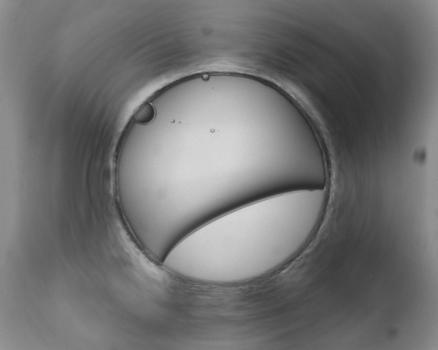 X0000111021238200906191223