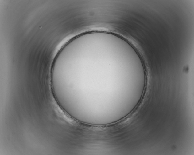 X0000111021240200906191223