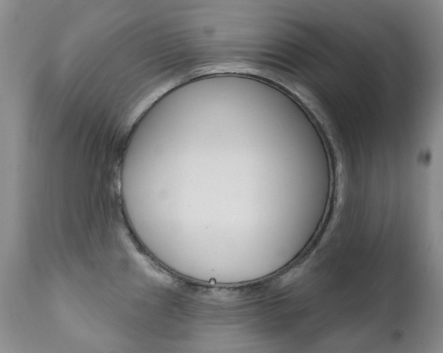 X0000111021241200906191223