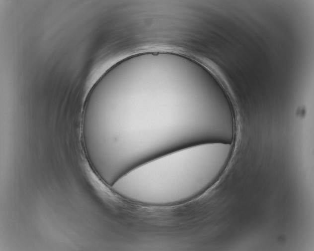 X0000111021244200906191223