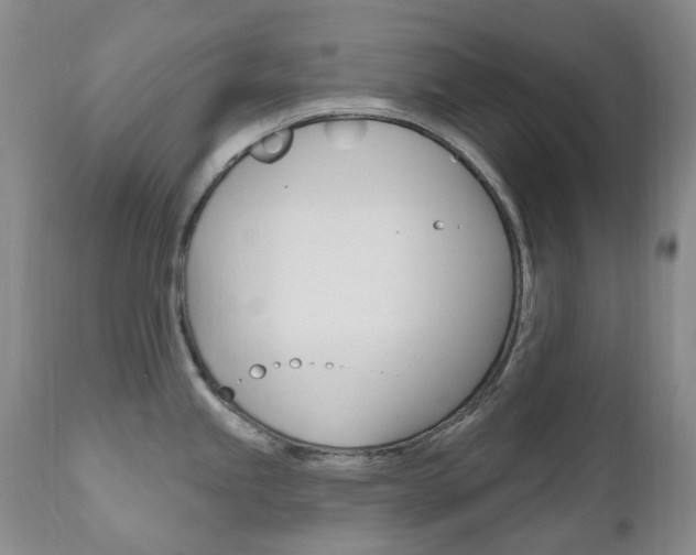 X0000111021245200906191223