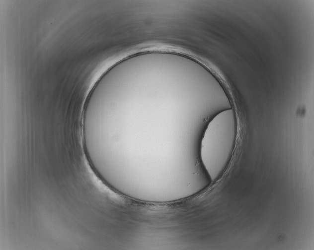 X0000111021247200906191223