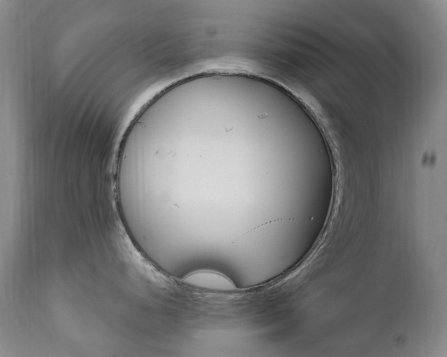 X0000111021248200906191223