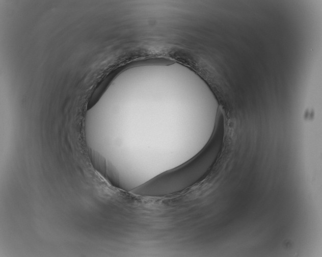 X0000111021249200906191222