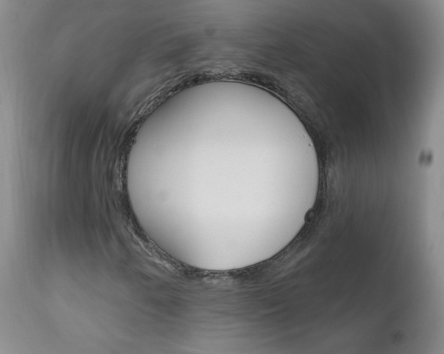 X0000111021250200906191222