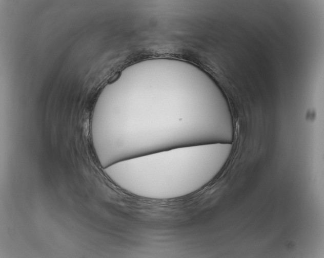 X0000111021251200906191222