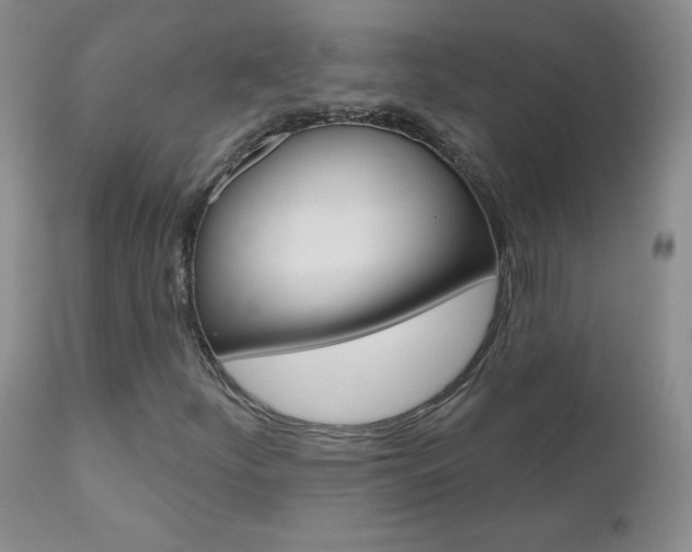 X0000111021252200906191222