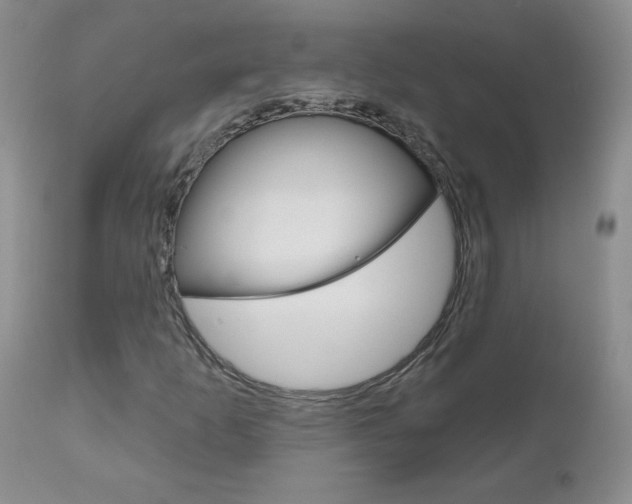 X0000111021253200906191222