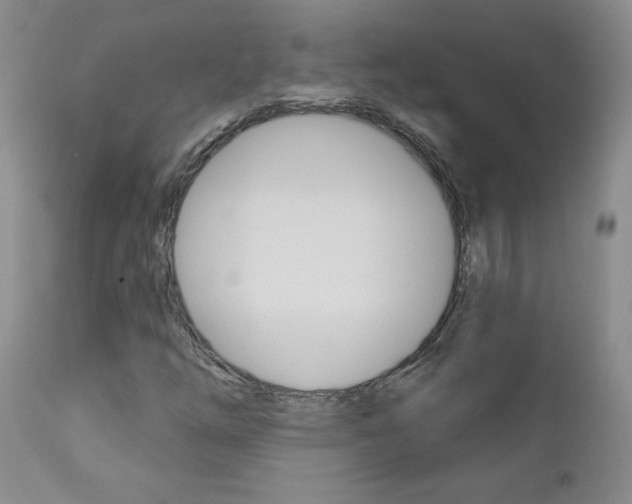 X0000111021254200906191222