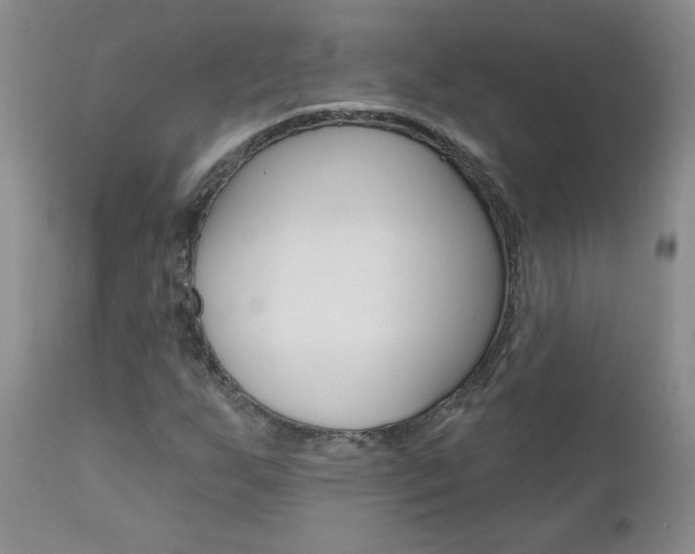 X0000111021255200906191222