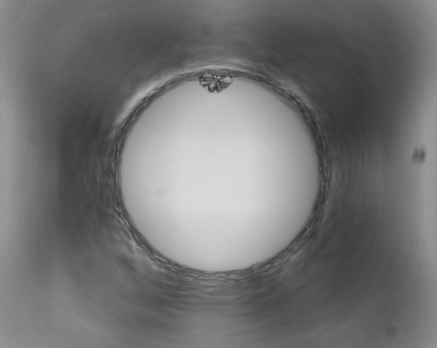 X0000111021256200906191222