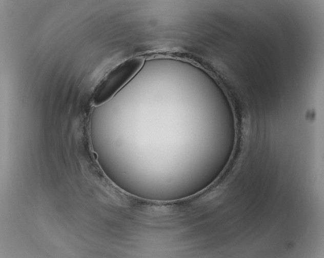 X0000111021257200906191222