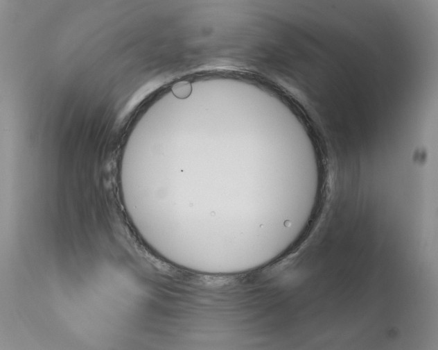 X0000111021258200906191222