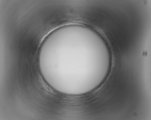 X0000111021260200906191222