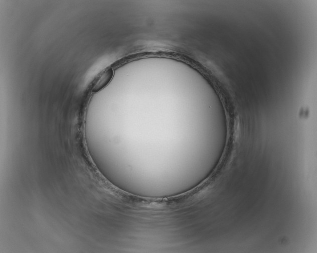 X0000111021261200906191222
