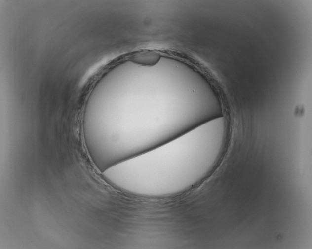 X0000111021262200906191222
