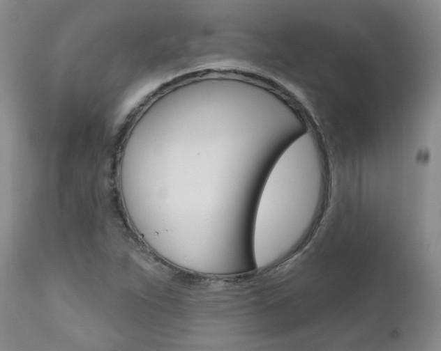 X0000111021263200906191222