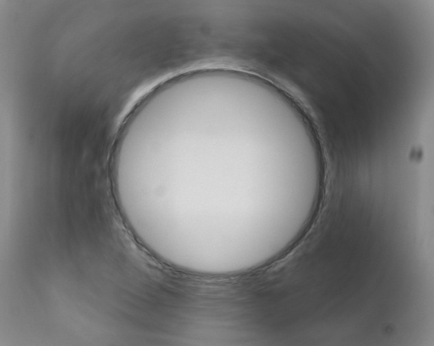 X0000111021264200906191222