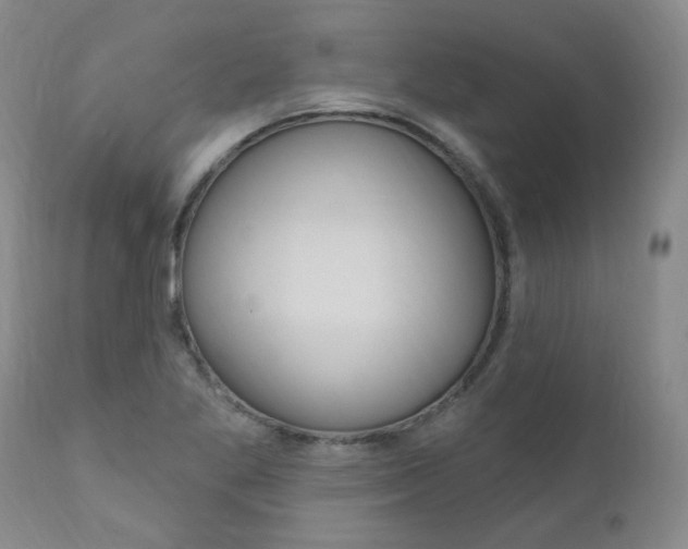 X0000111021269200906191222