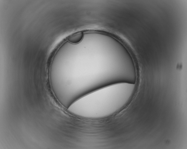 X0000111021270200906191222