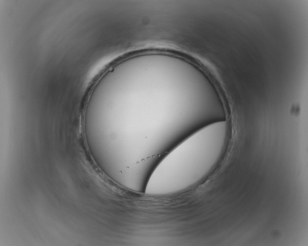 X0000111021271200906191222