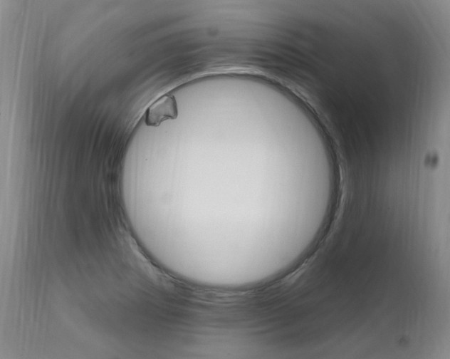 X0000111021273200906191222
