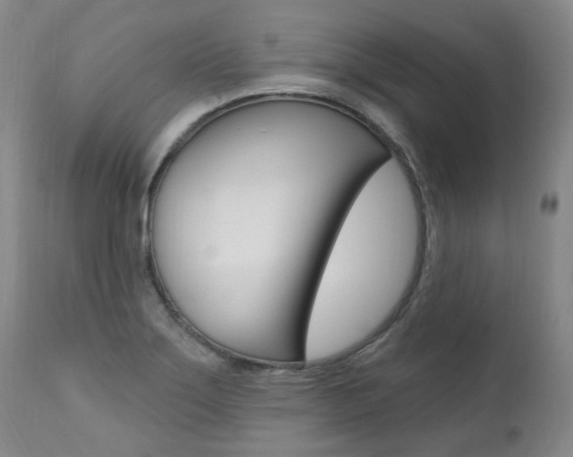 X0000111021275200906191222