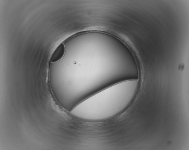 X0000111021276200906191222