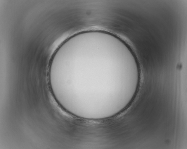 X0000111021278200906191222