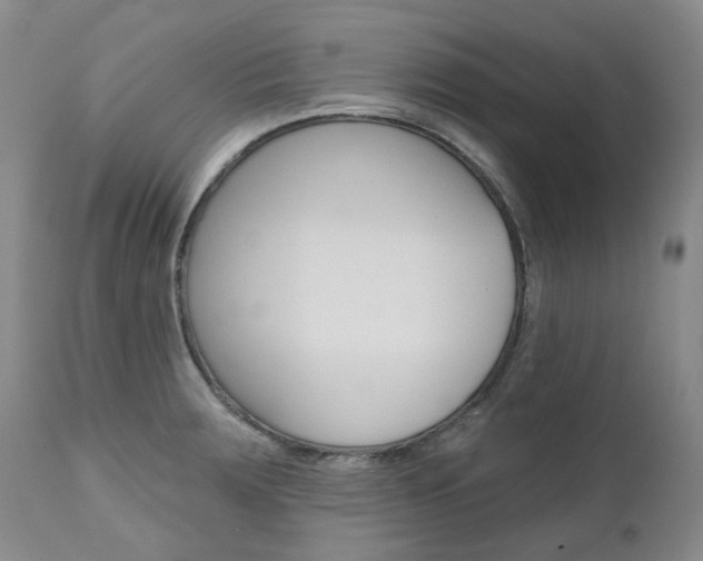 X0000111021283200906191222