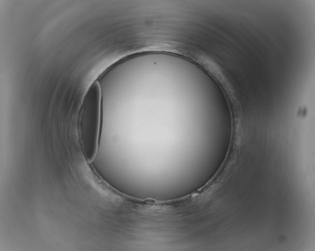 X0000111021284200906191222