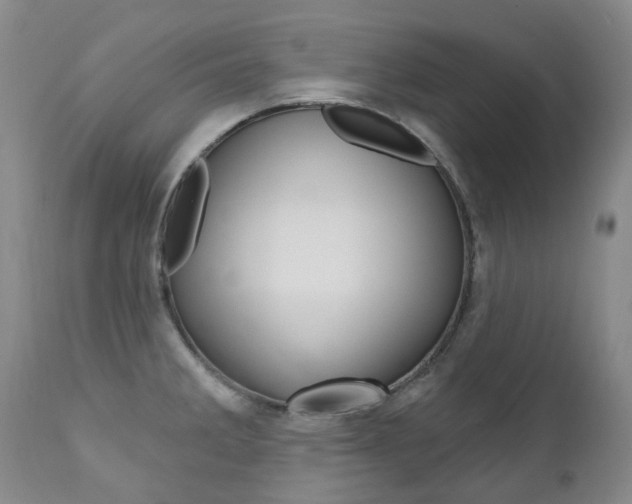 X0000111021285200906191222