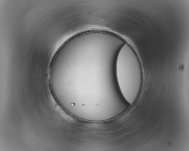 X0000111021287200906191221